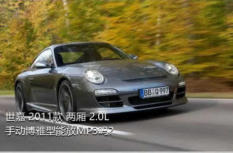 世嘉 2011款 两厢 2.0L 手动博雅型能放MP3吗？