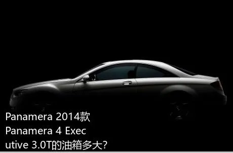 Panamera 2014款 Panamera 4 Executive 3.0T的油箱多大？