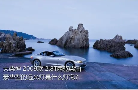 大柴神 2009款 2.8T两驱柴油豪华型的远光灯是什么灯泡？