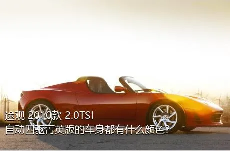 途观 2010款 2.0TSI 自动四驱菁英版的车身都有什么颜色？