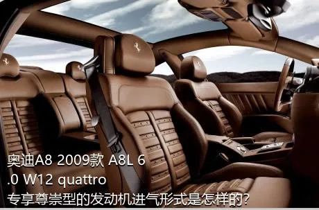 奥迪A8 2009款 A8L 6.0 W12 quattro 专享尊崇型的发动机进气形式是怎样的？