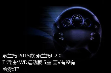 索兰托 2015款 索兰托L 2.0T 汽油4WD运动版 5座 国V有没有前雾灯？