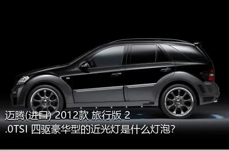 迈腾(进口) 2012款 旅行版 2.0TSI 四驱豪华型的近光灯是什么灯泡？