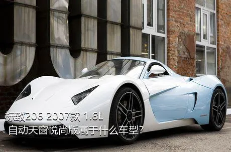 标致206 2007款 1.6L 自动天窗悦尚版属于什么车型？