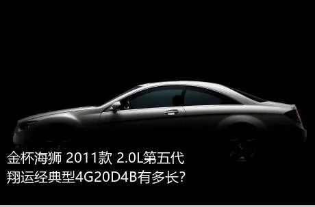 金杯海狮 2011款 2.0L第五代翔运经典型4G20D4B有多长？