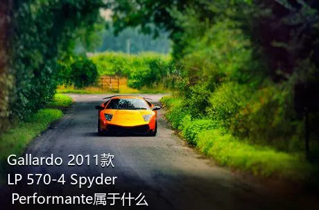 Gallardo 2011款 LP 570-4 Spyder Performante属于什么级别的车？