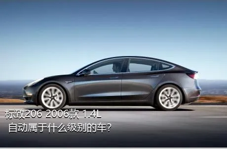 标致206 2006款 1.4L 自动属于什么级别的车？