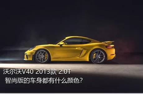 沃尔沃V40 2013款 2.0T 智尚版的车身都有什么颜色？