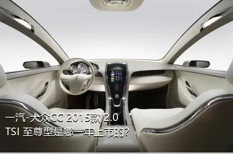 一汽-大众CC 2015款 2.0TSI 至尊型是哪一年上市的？