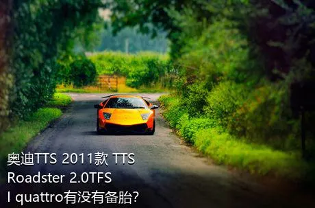 奥迪TTS 2011款 TTS Roadster 2.0TFSI quattro有没有备胎？