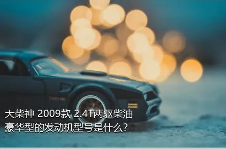 大柴神 2009款 2.4T两驱柴油豪华型的发动机型号是什么？