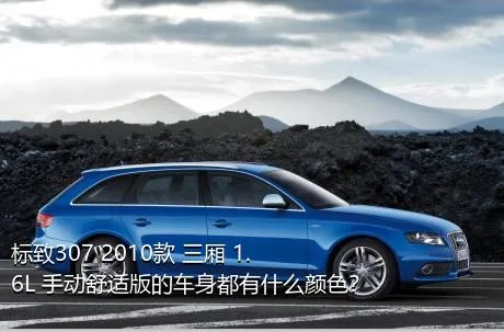 标致307 2010款 三厢 1.6L 手动舒适版的车身都有什么颜色？