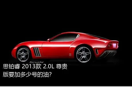 思铂睿 2013款 2.0L 尊贵版要加多少号的油？