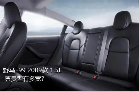 野马F99 2009款 1.5L 尊贵型有多宽？