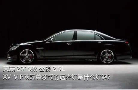 天籁 2015款 公爵 2.5L XV-VIP欧冠尊领版的远光灯是什么灯泡？