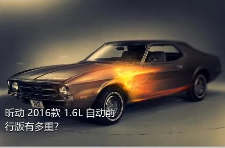 昕动 2016款 1.6L 自动前行版有多重？