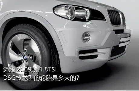 迈腾 2009款 1.8TSI DSG技术型的轮胎是多大的？