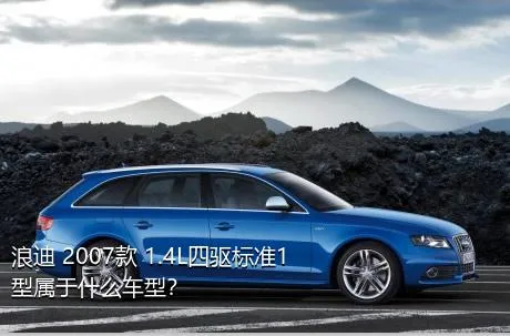 浪迪 2007款 1.4L四驱标准1型属于什么车型？