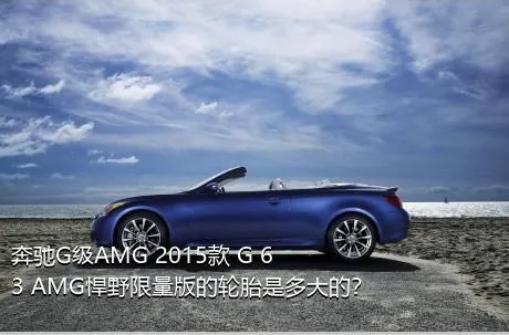 奔驰G级AMG 2015款 G 63 AMG悍野限量版的轮胎是多大的？