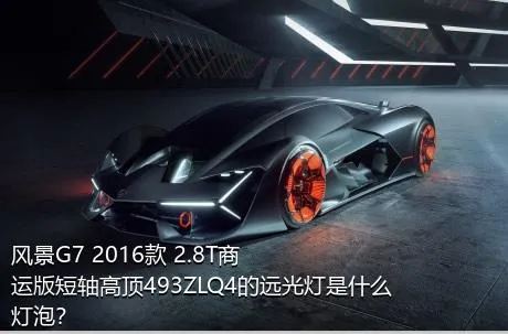 风景G7 2016款 2.8T商运版短轴高顶493ZLQ4的远光灯是什么灯泡？