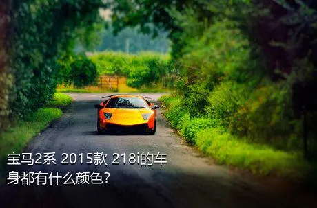 宝马2系 2015款 218i的车身都有什么颜色？