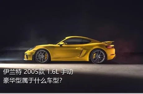 伊兰特 2005款 1.6L 手动豪华型属于什么车型？