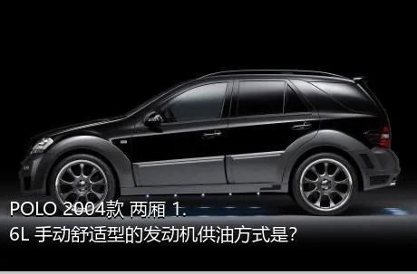 POLO 2004款 两厢 1.6L 手动舒适型的发动机供油方式是？