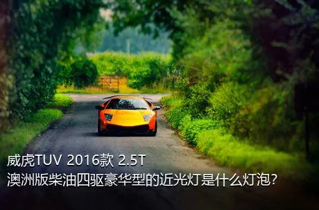 威虎TUV 2016款 2.5T澳洲版柴油四驱豪华型的近光灯是什么灯泡？