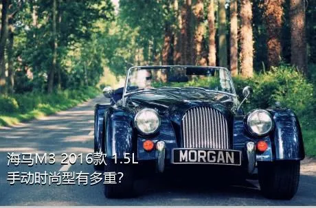 海马M3 2016款 1.5L 手动时尚型有多重？