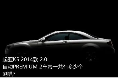 起亚K5 2014款 2.0L 自动PREMIUM 2车内一共有多少个喇叭？