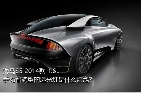 海马S5 2014款 1.6L 手动智骋型的远光灯是什么灯泡？