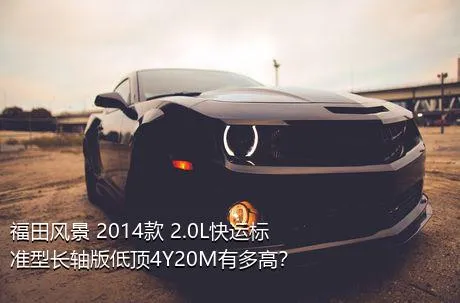 福田风景 2014款 2.0L快运标准型长轴版低顶4Y20M有多高？