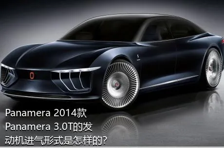 Panamera 2014款 Panamera 3.0T的发动机进气形式是怎样的？