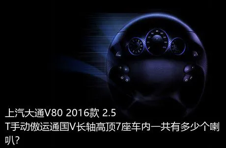 上汽大通V80 2016款 2.5T手动傲运通国V长轴高顶7座车内一共有多少个喇叭？