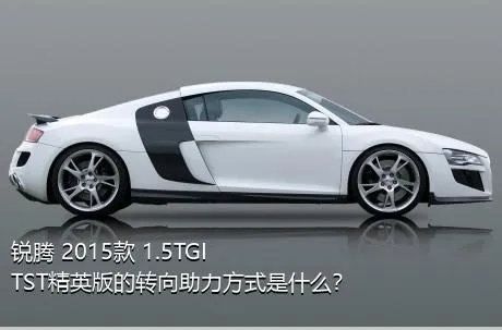 锐腾 2015款 1.5TGI TST精英版的转向助力方式是什么？