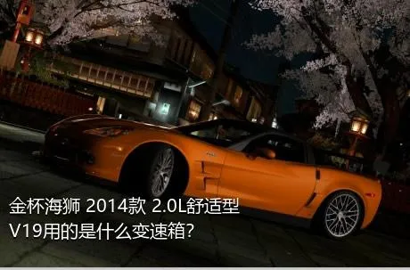 金杯海狮 2014款 2.0L舒适型V19用的是什么变速箱？