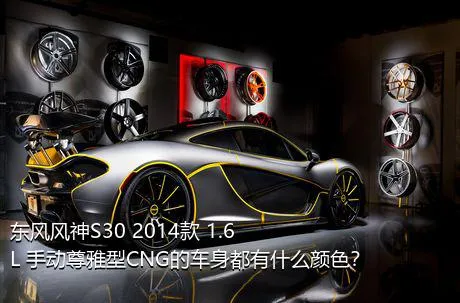 东风风神S30 2014款 1.6L 手动尊雅型CNG的车身都有什么颜色？