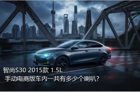 智尚S30 2015款 1.5L 手动电商版车内一共有多少个喇叭？