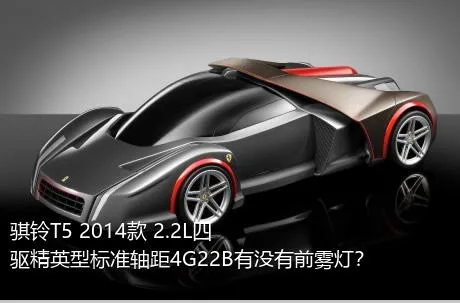 骐铃T5 2014款 2.2L四驱精英型标准轴距4G22B有没有前雾灯？