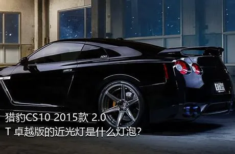 猎豹CS10 2015款 2.0T 卓越版的近光灯是什么灯泡？