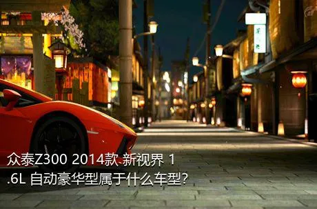 众泰Z300 2014款 新视界 1.6L 自动豪华型属于什么车型？