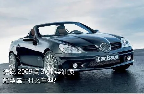 途锐 2009款 3.0T 柴油顶配型属于什么车型？