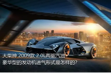 大柴神 2009款 2.0L两驱汽油豪华型的发动机进气形式是怎样的？