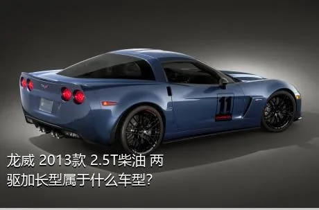 龙威 2013款 2.5T柴油 两驱加长型属于什么车型？