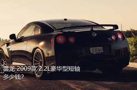 雷龙 2009款 2.2L豪华型短轴多少钱？