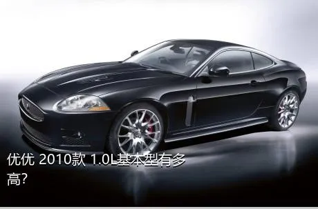 优优 2010款 1.0L基本型有多高？