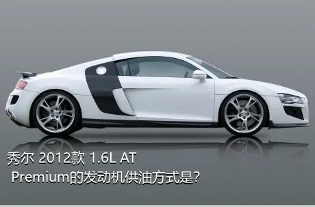 秀尔 2012款 1.6L AT Premium的发动机供油方式是？