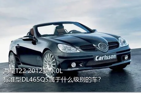 海星T22 2012款 1.0L标准型DL465Q5属于什么级别的车？