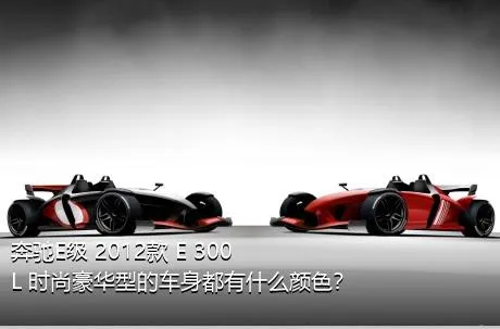 奔驰E级 2012款 E 300 L 时尚豪华型的车身都有什么颜色？