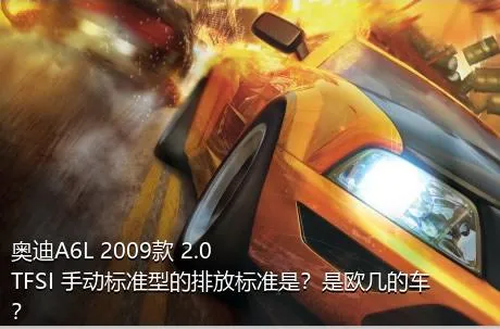 奥迪A6L 2009款 2.0 TFSI 手动标准型的排放标准是？是欧几的车？